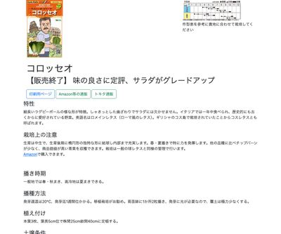 コロッセオの画像