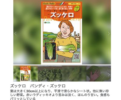 ズッケロ パンディ・ズッケロの画像