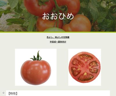 おおひめの画像