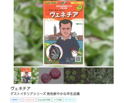 ヴェネチアの画像