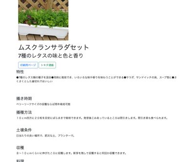 ムスクランサラダセットの画像