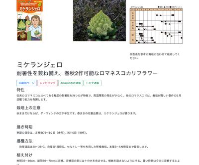 ミケランジェロの画像