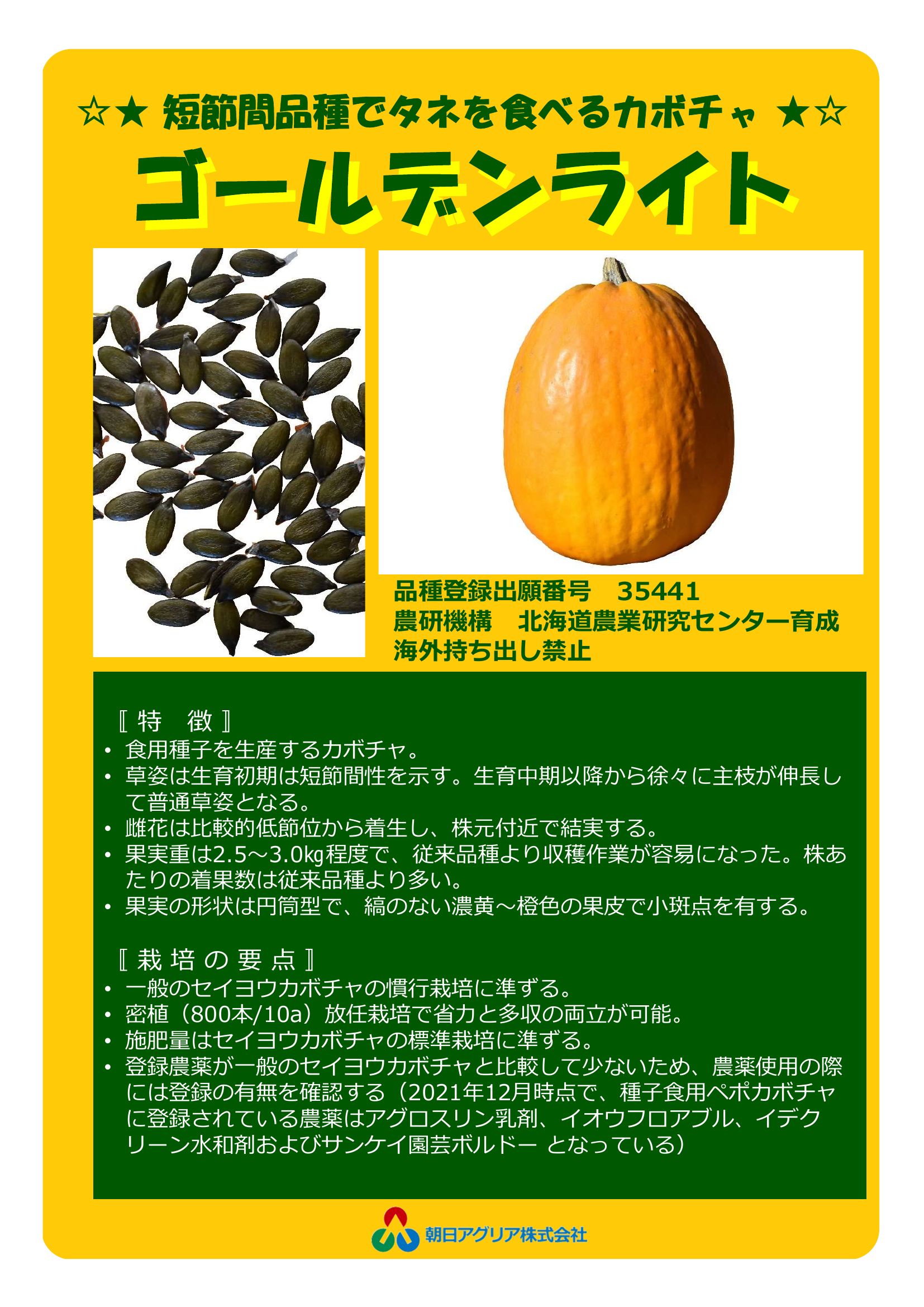 ゴールデンライト