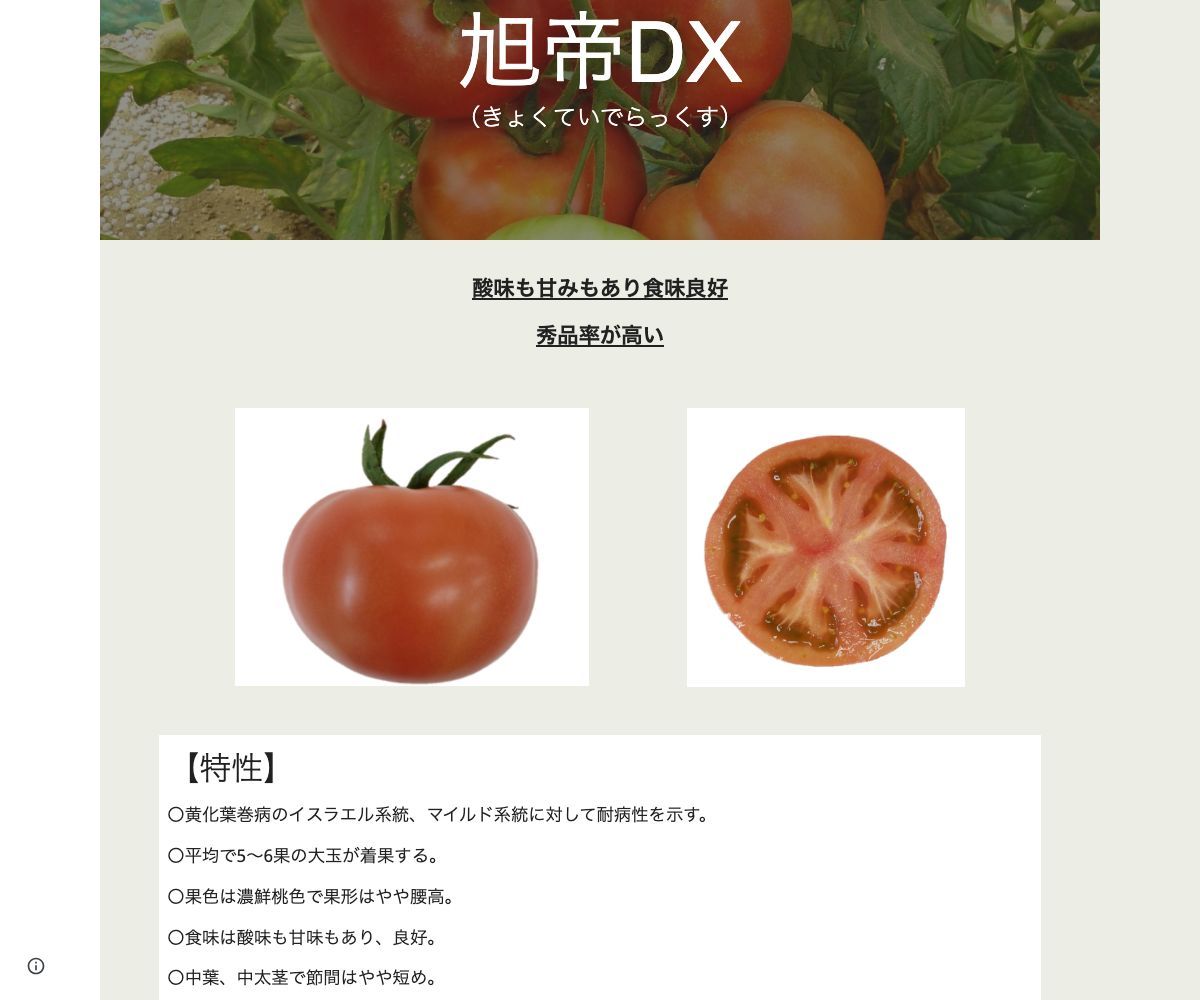 旭帝DX