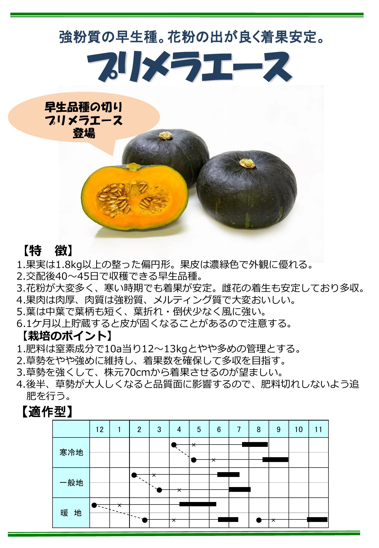 プリメラエース