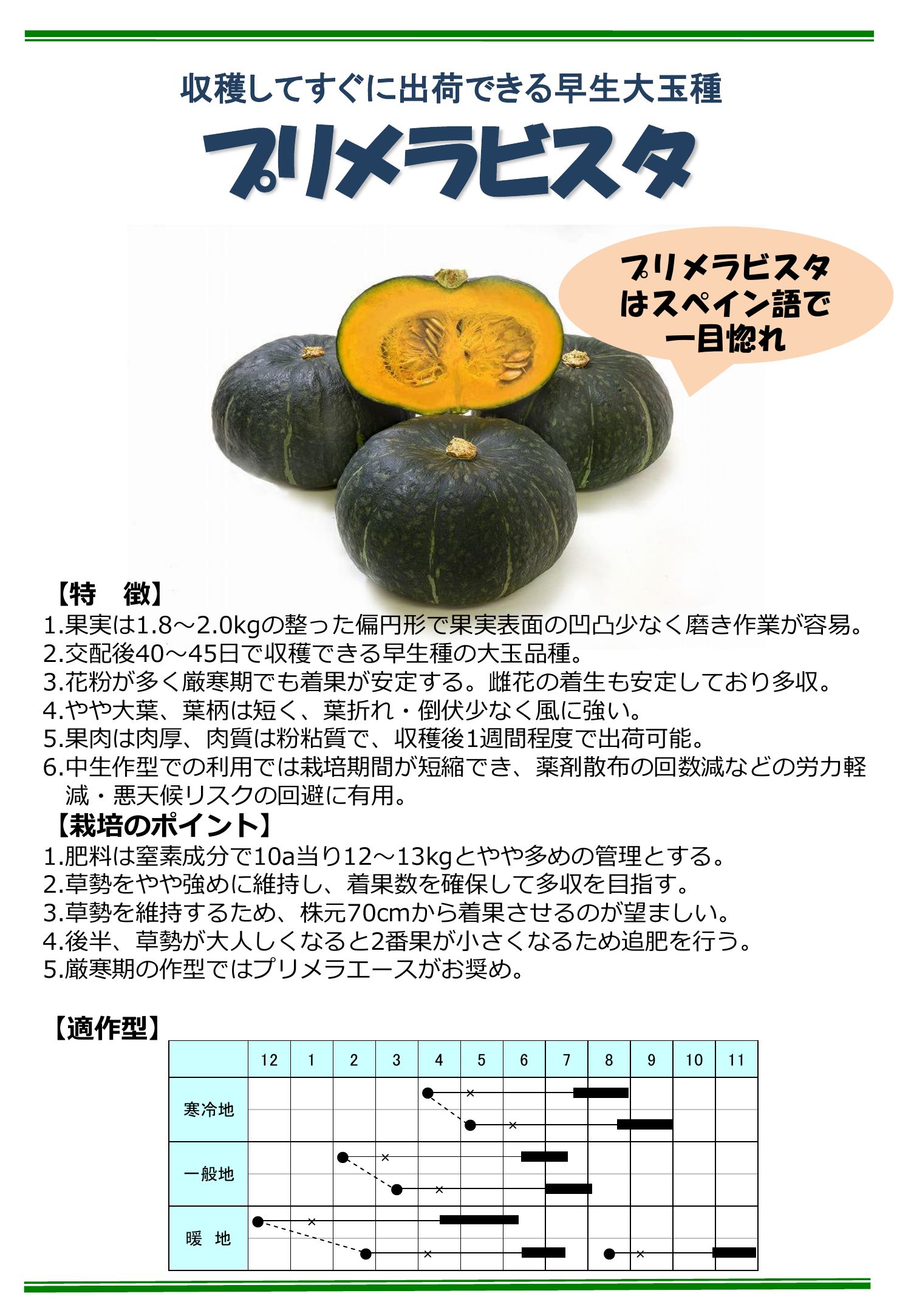 プリメラビスタ