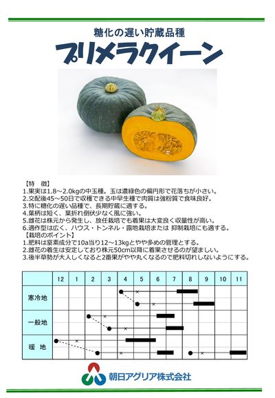 プリメラクイーンの画像