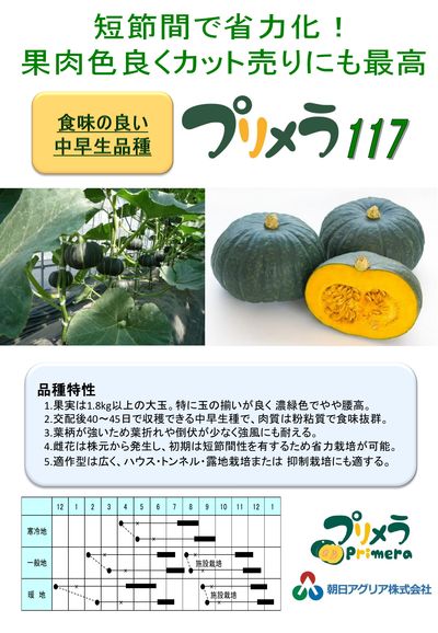 プリメラ117の画像