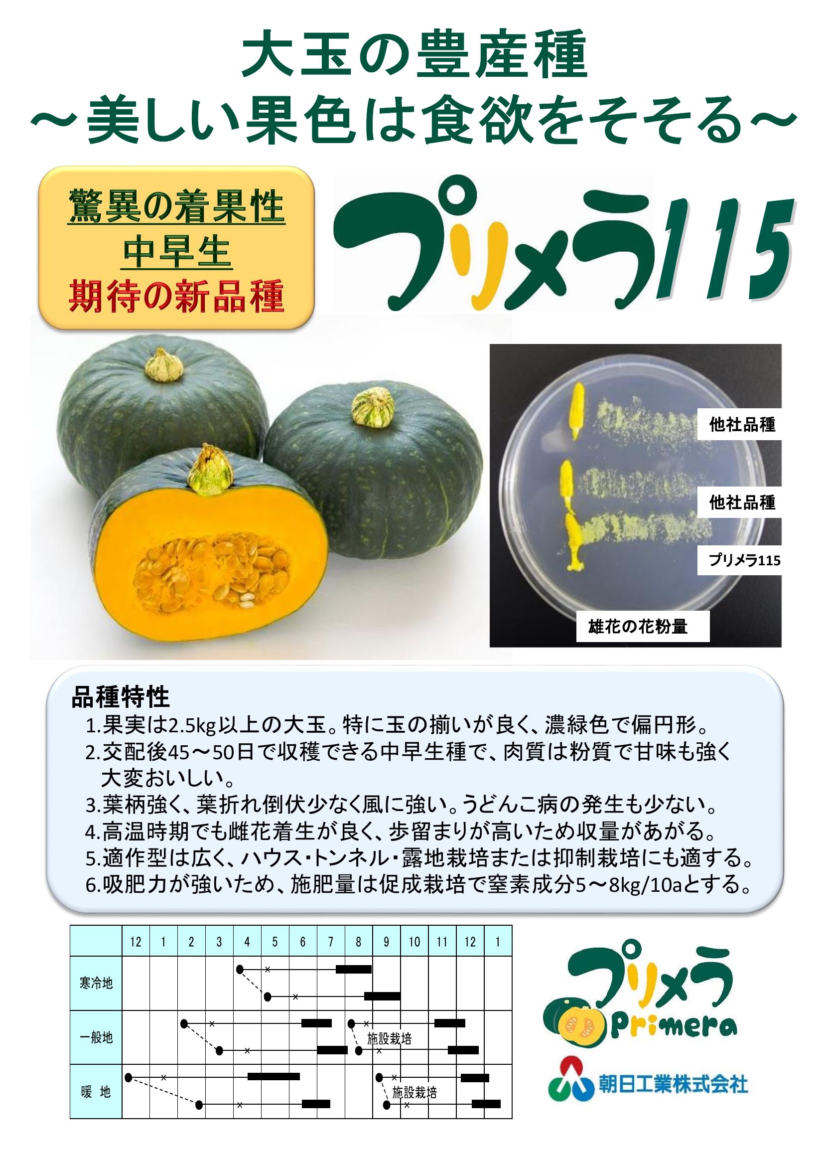 プリメラ115