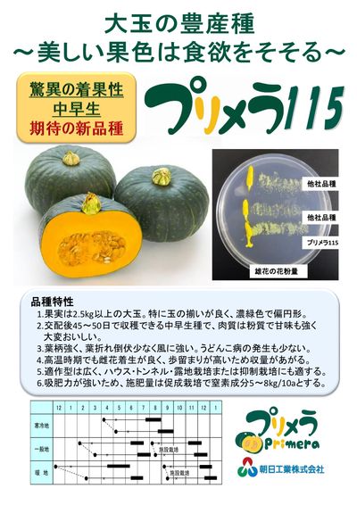 プリメラ115の画像