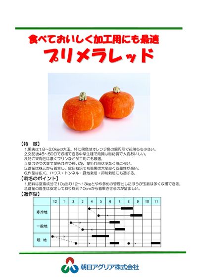 プリメラレッドの画像