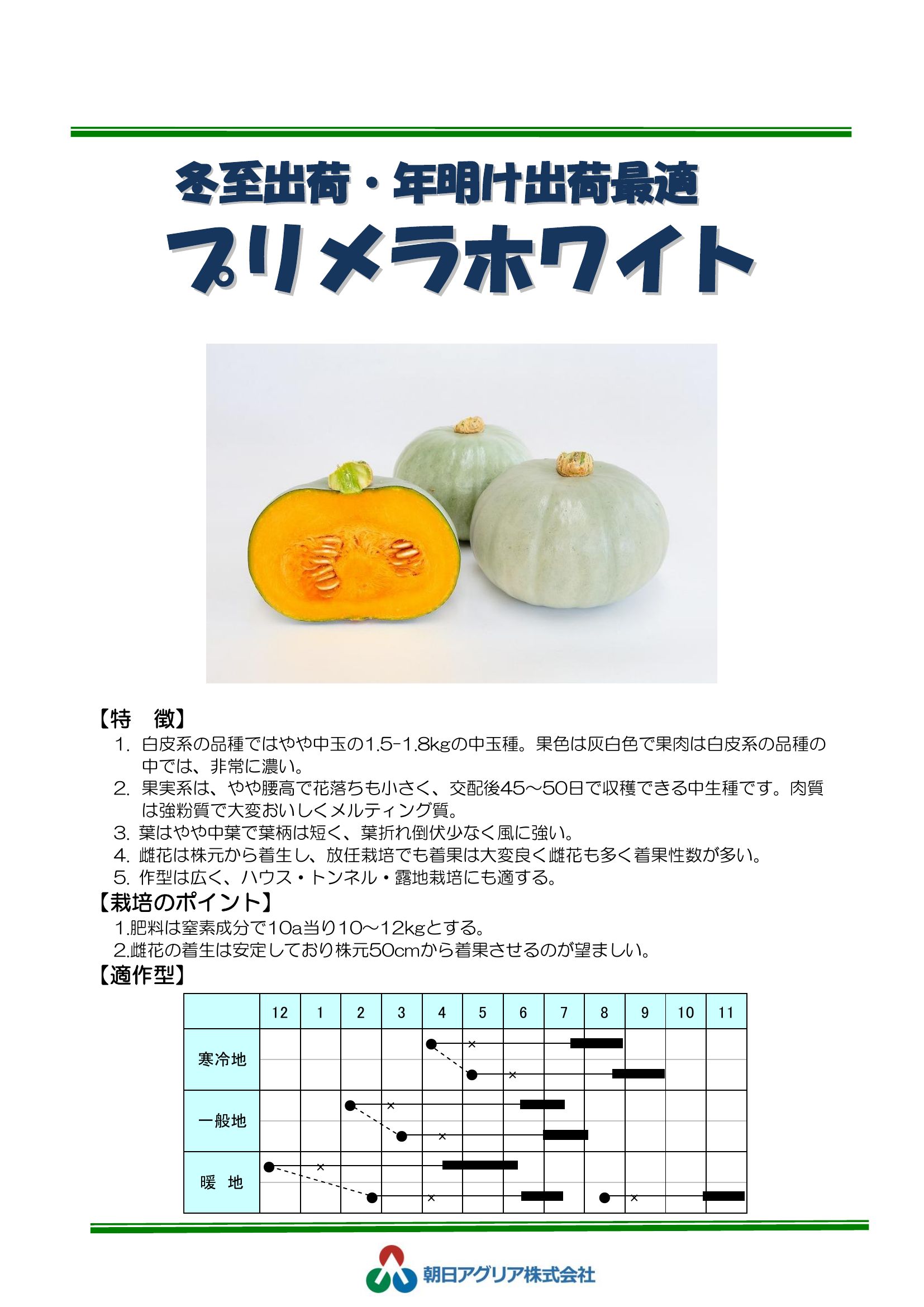 プリメラホワイト