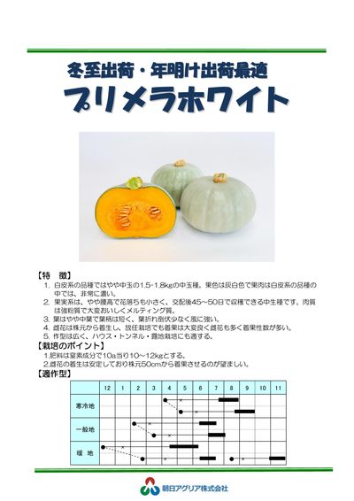 プリメラホワイトの画像