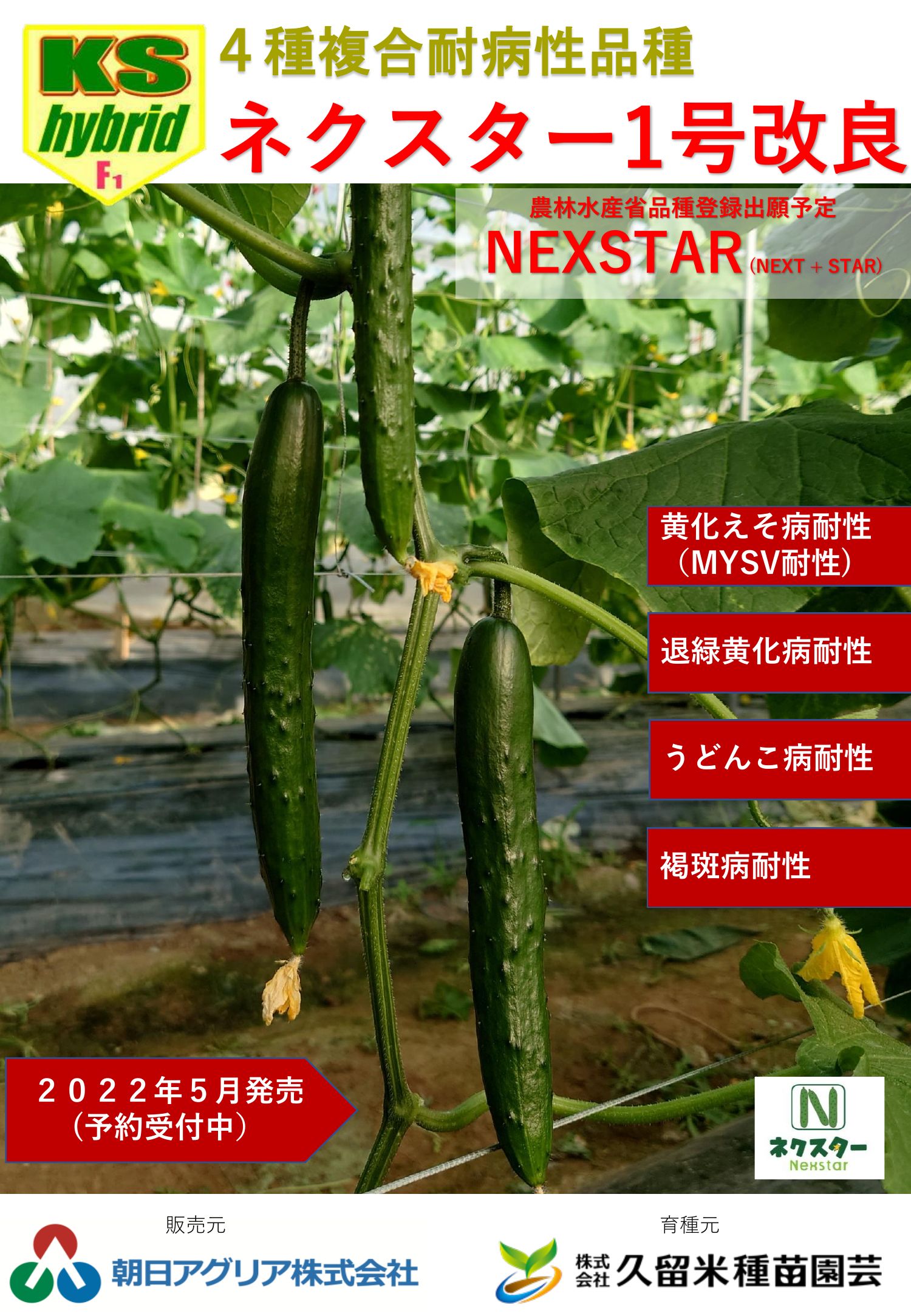 ネクスター1号改良