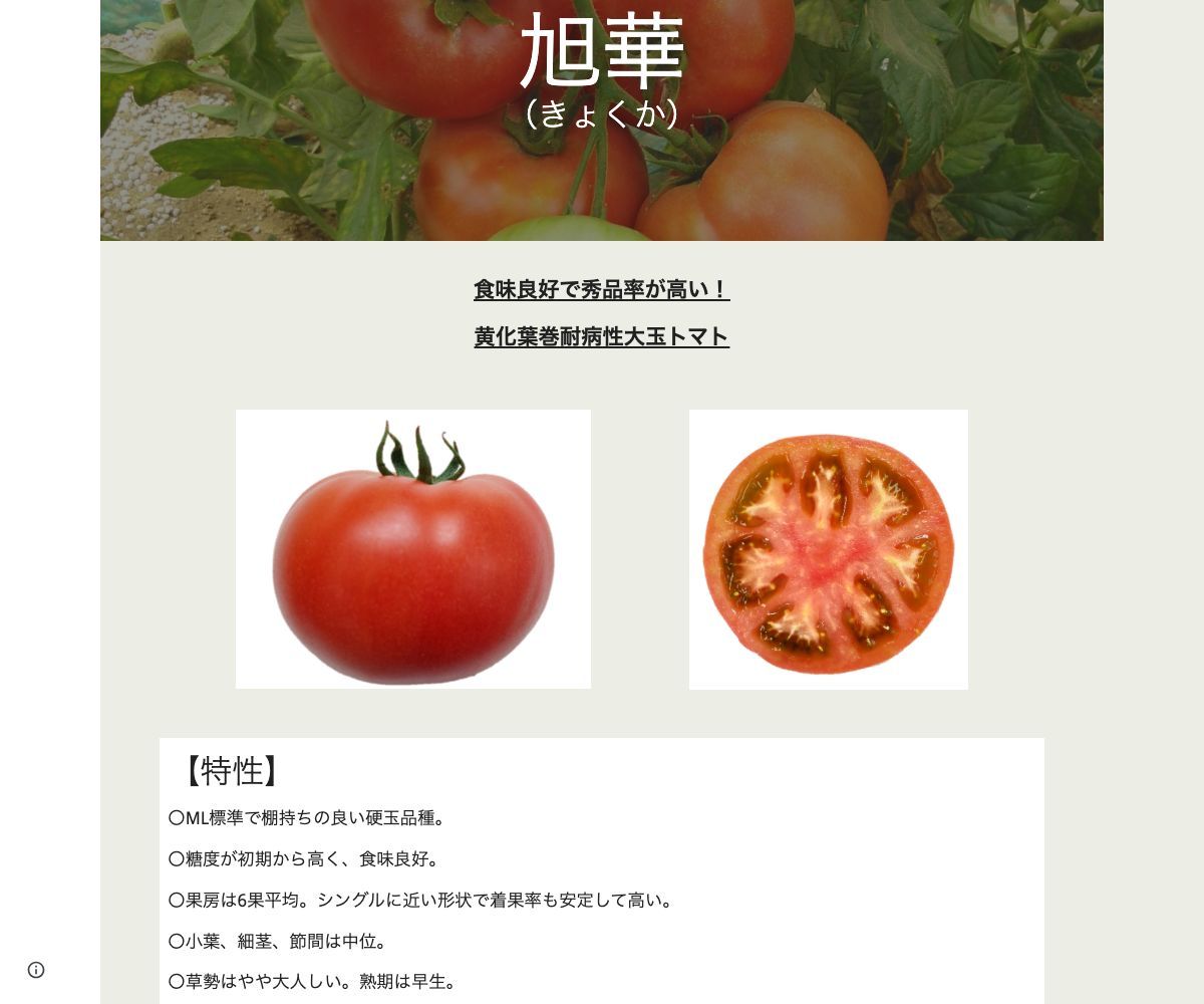 旭華
