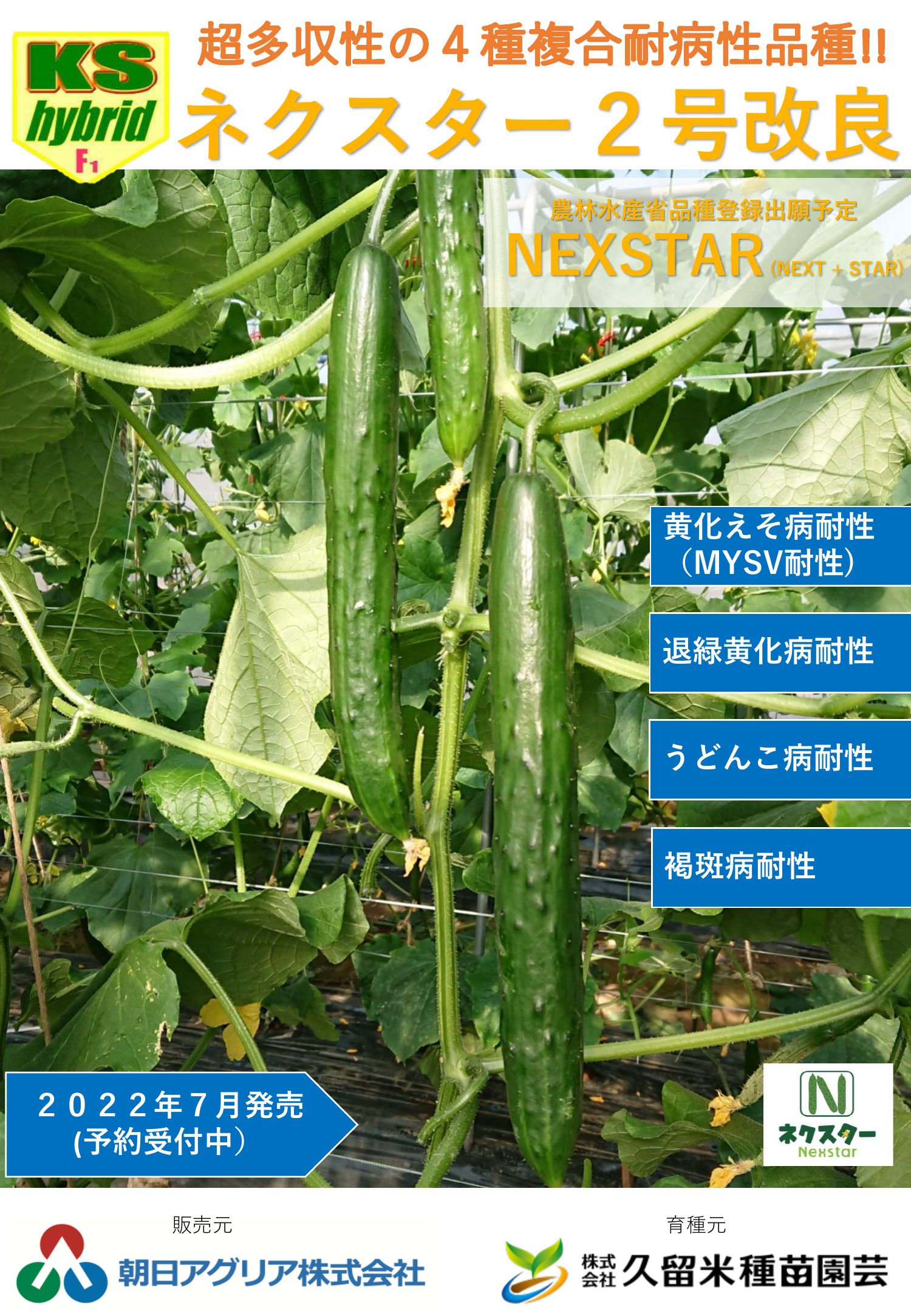 ネクスター2号改良