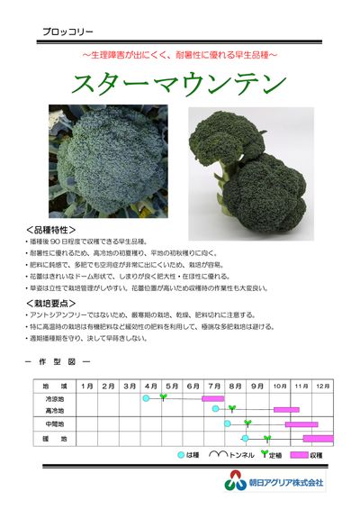 スターマウンテンの画像