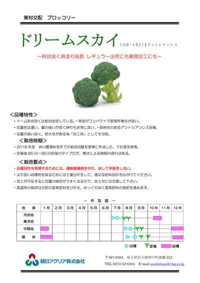 ドリームスカイの画像