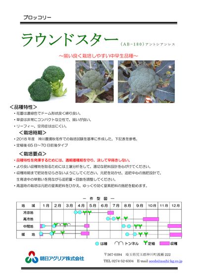 ラウンドスターの画像