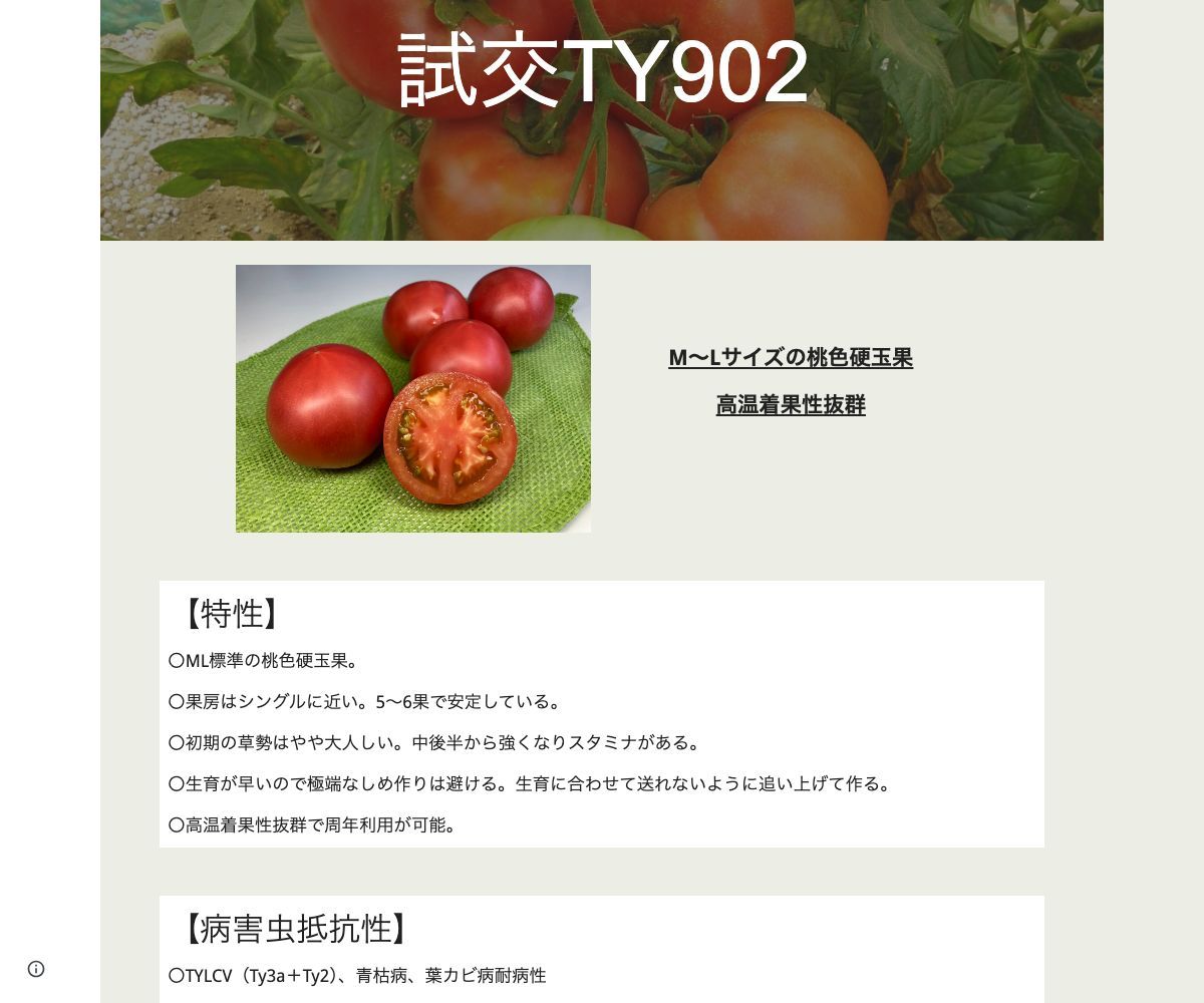 試交TY902