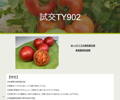 試交TY902