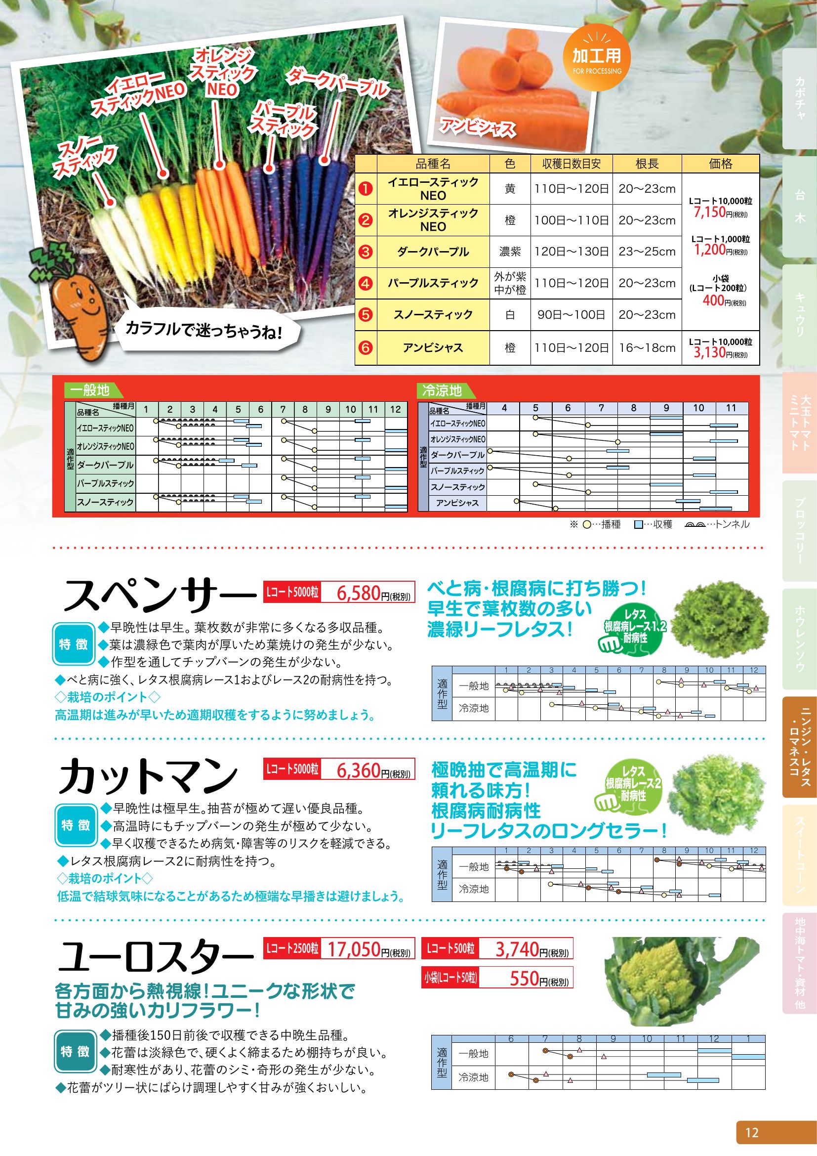 スノースティック