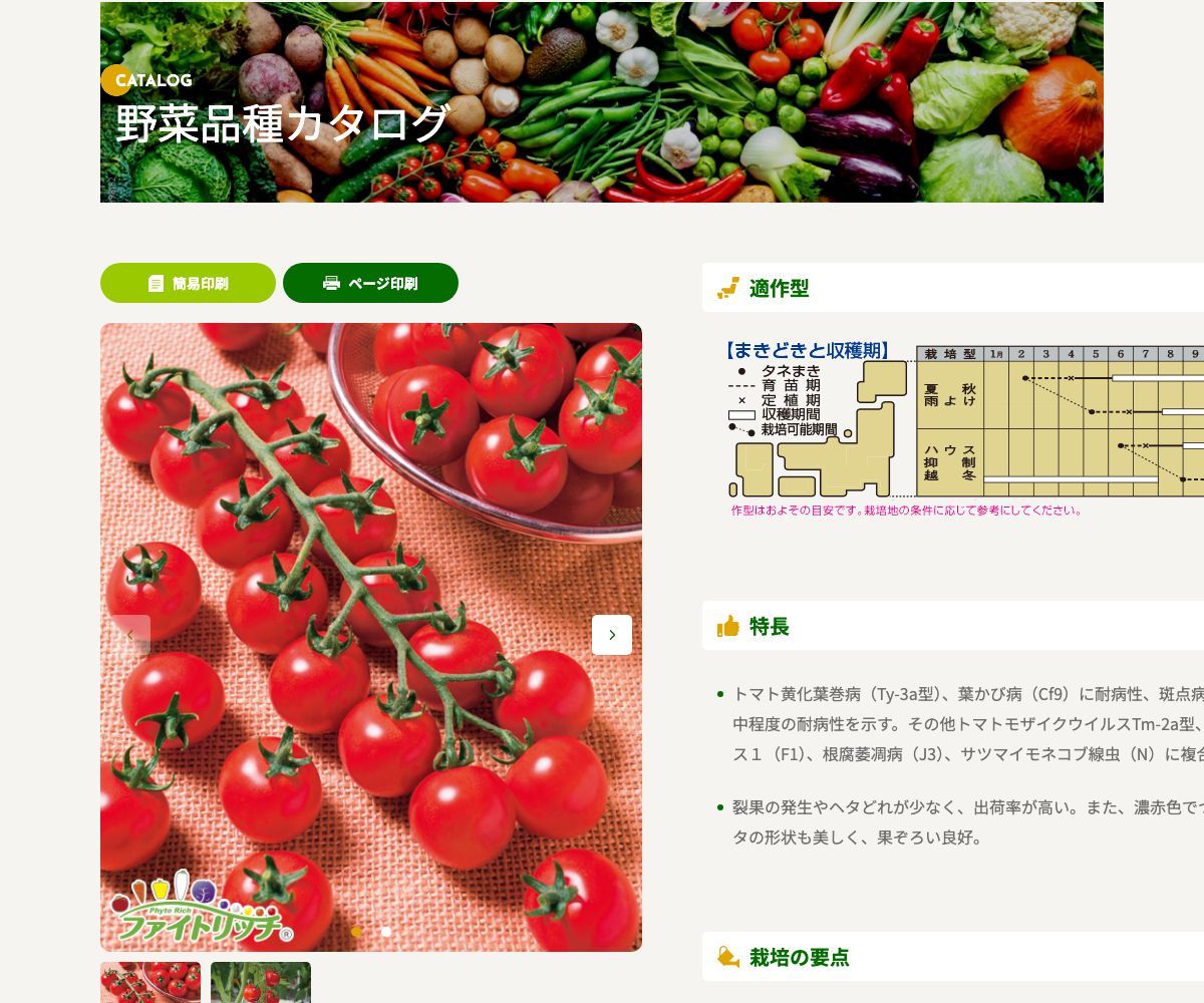TY千果