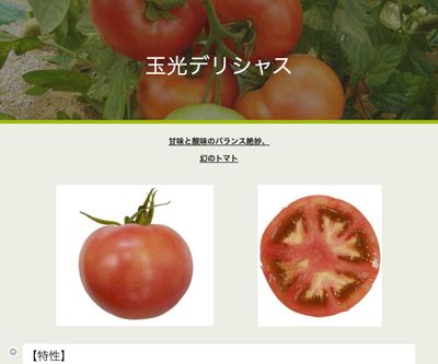 玉光デリシャスの画像