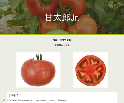 甘太郎Jr.の画像