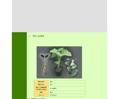 ウルトラ９Bの画像