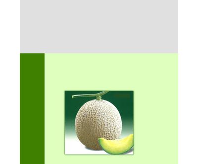 アールス栄華の画像