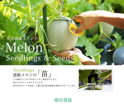 パールシャワーNSTOの画像