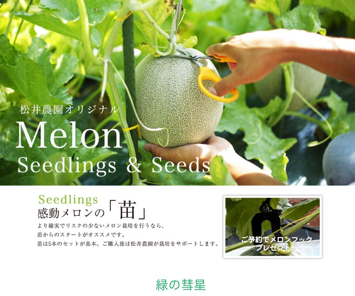 グラデーション