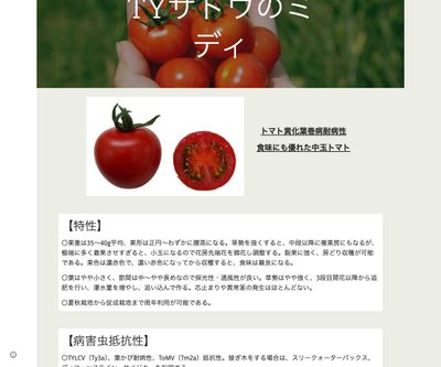 TYサトウのミディの画像
