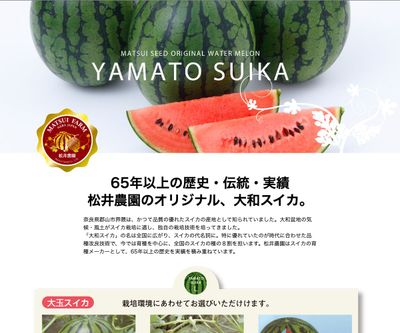 夏の訪れの画像