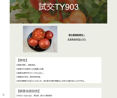 試交TY903の画像