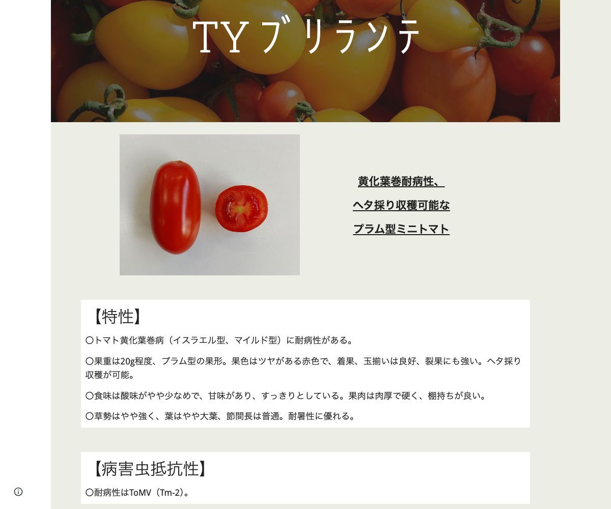 TYブリランテ