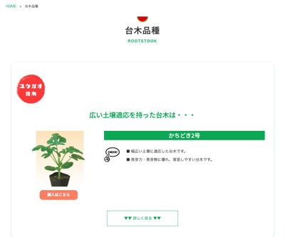 ベスト冬瓜2号の画像