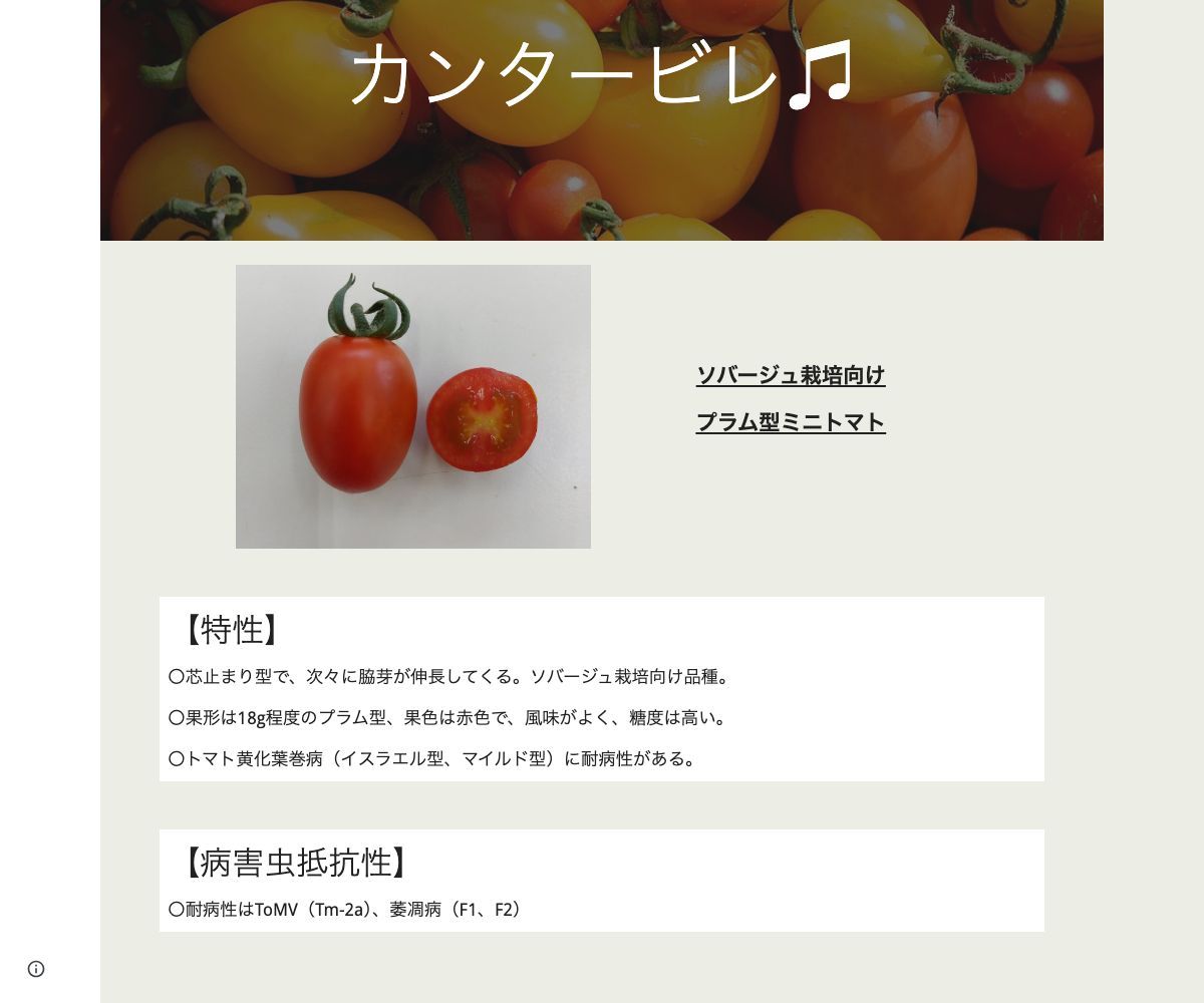 カンタービレ♫