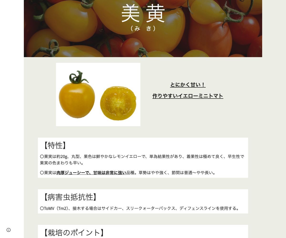 美黄