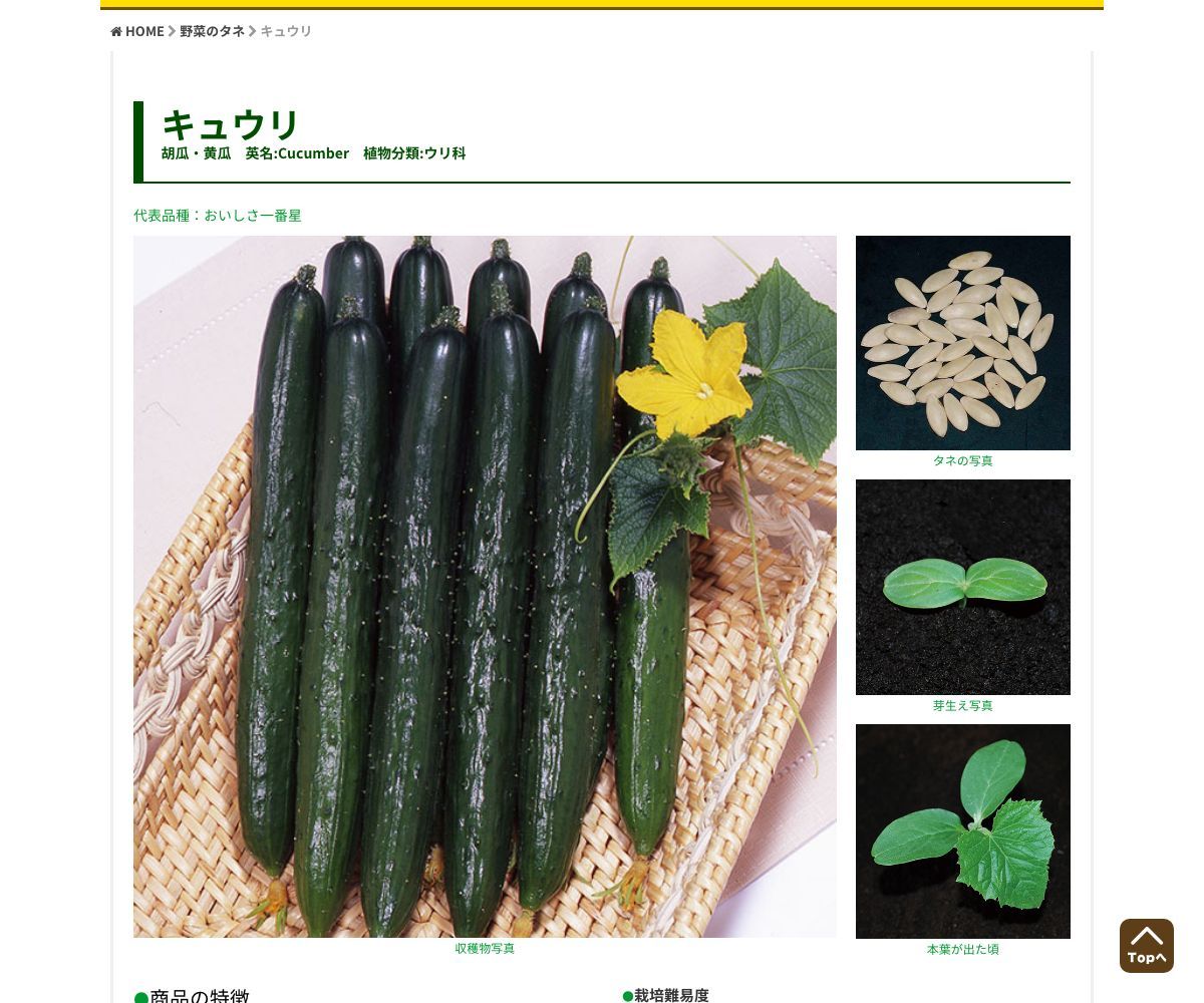 赤毛瓜（販売地域限定）