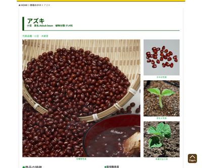 小豆 大納言の画像