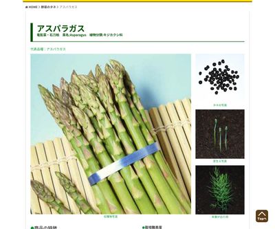 アスパラガスの画像