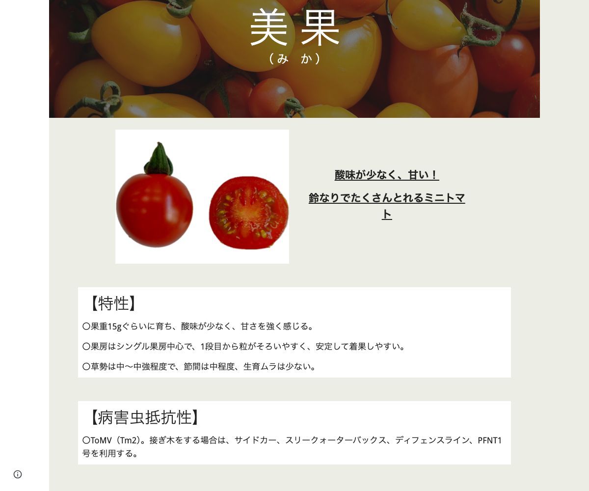 美果