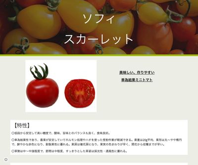 ソフィスカーレットの画像