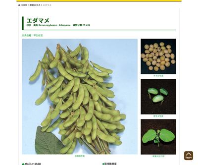 茶豆 里心（販売地域限定）の画像