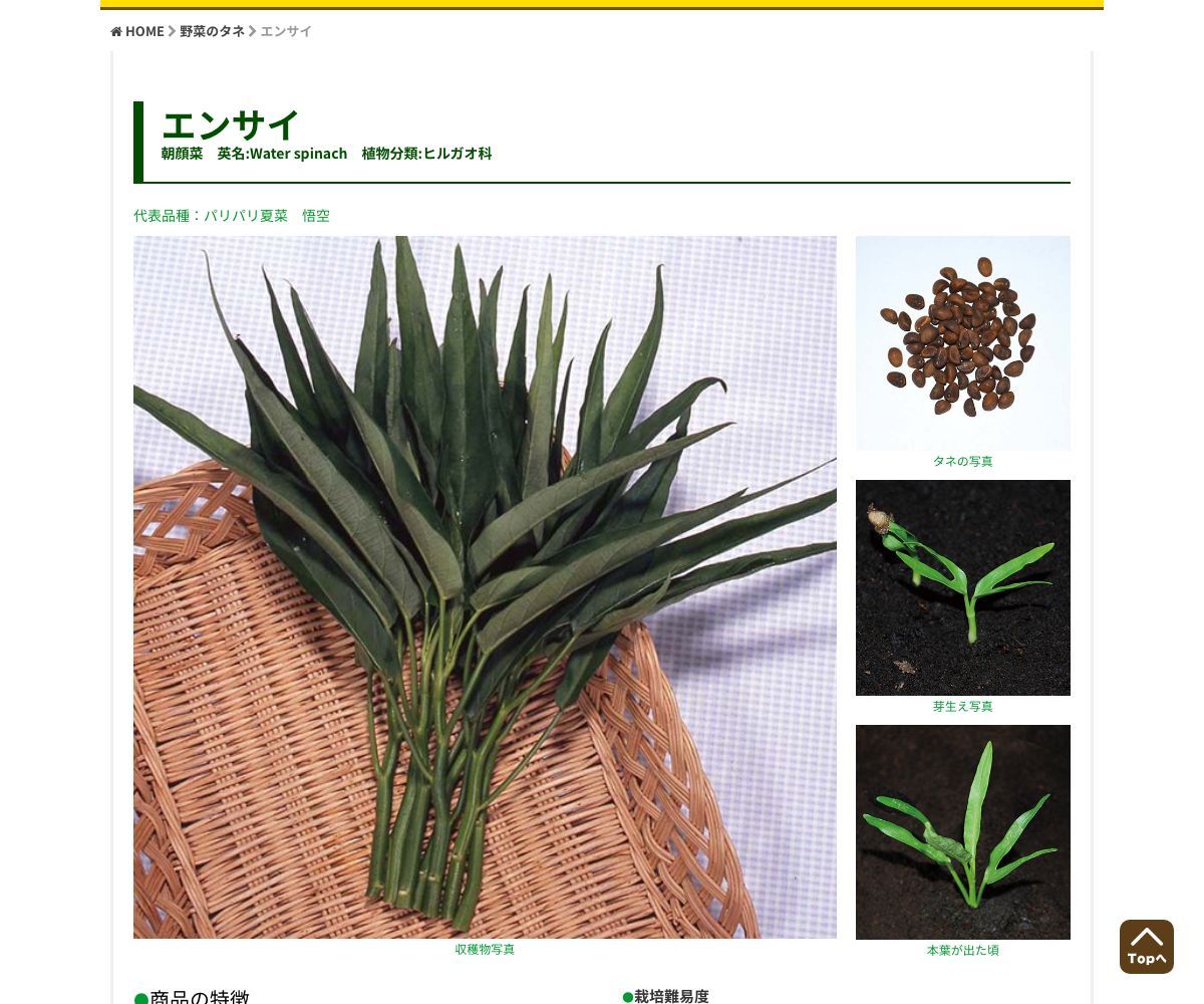 パリパリ夏菜（なつな）悟空