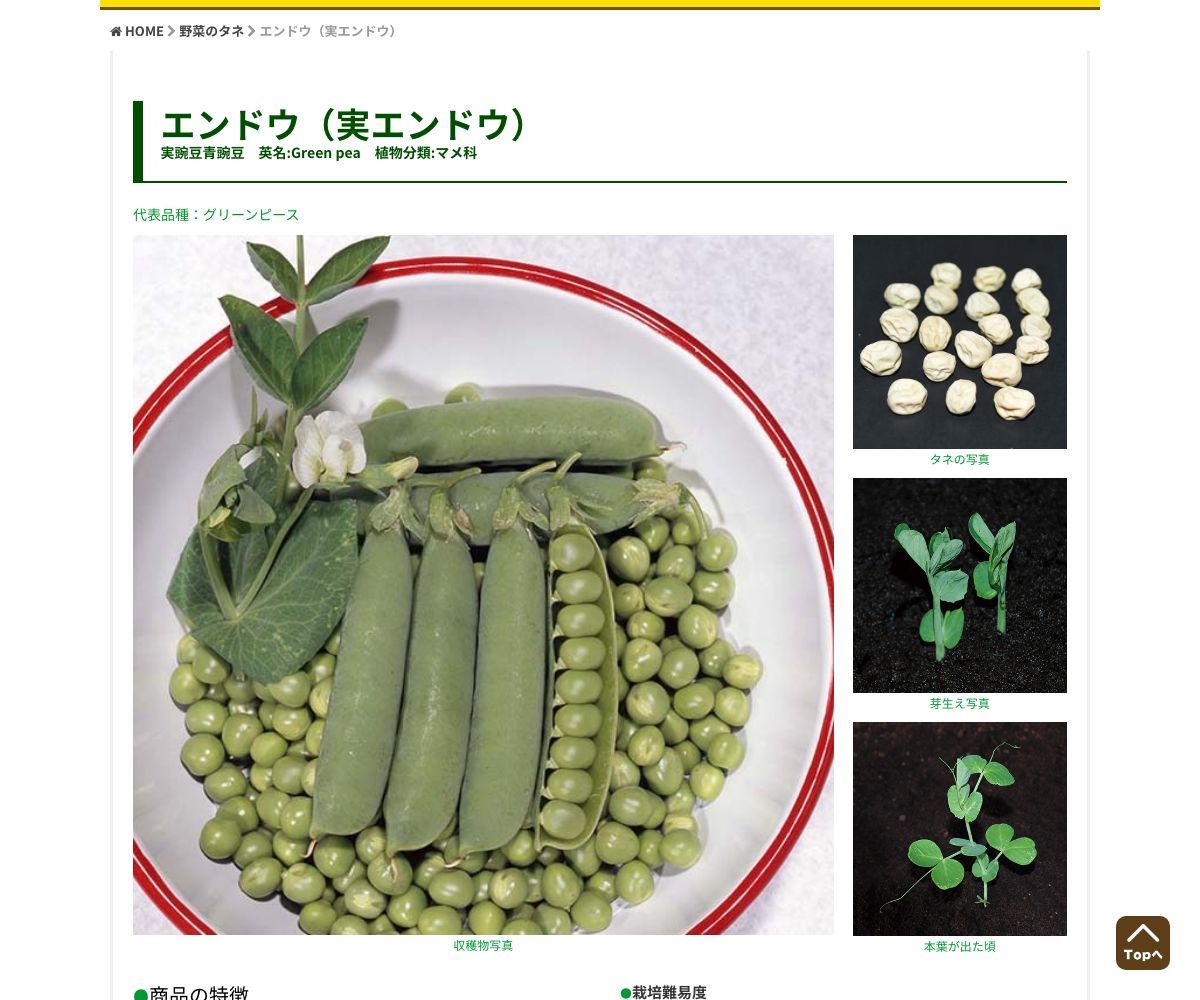 アラスカ実えんどう