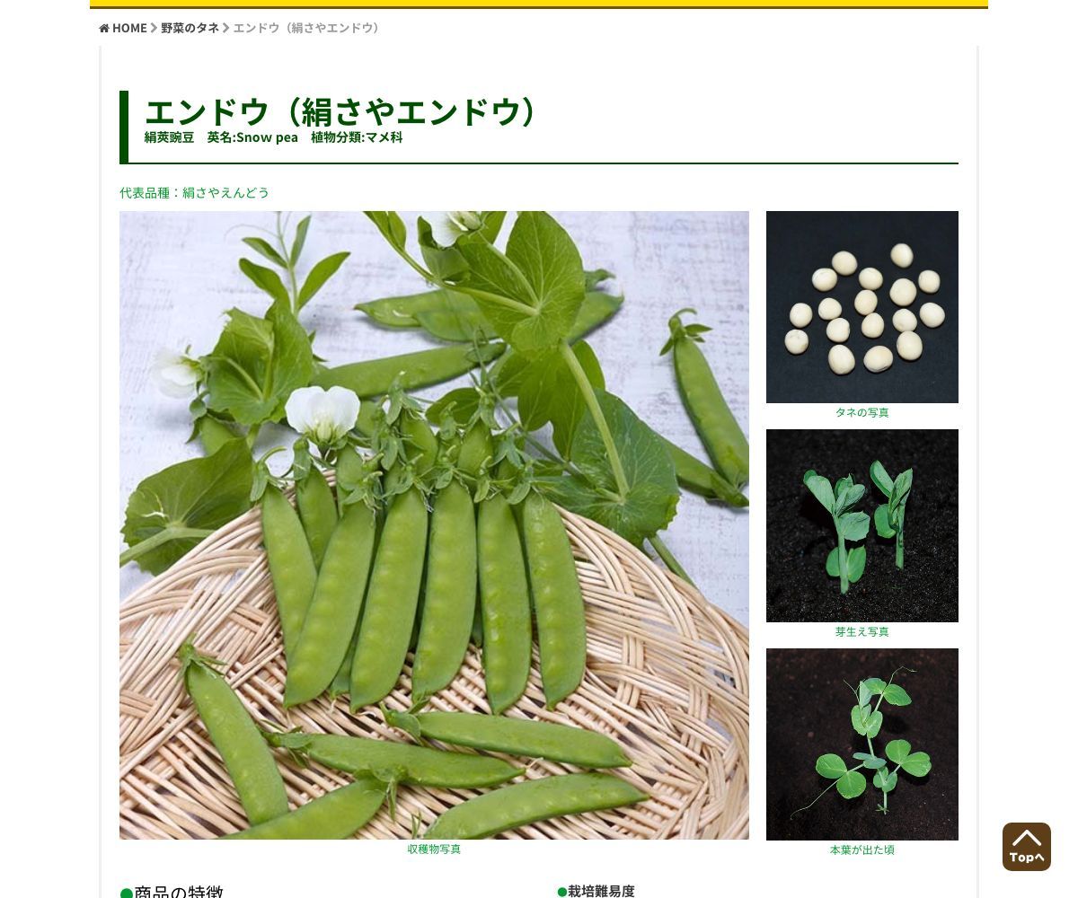 絹さやえんどう