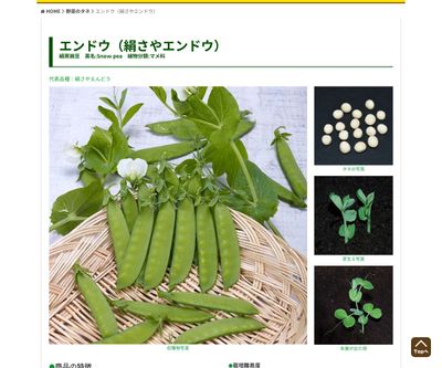 赤花鈴成砂糖の画像